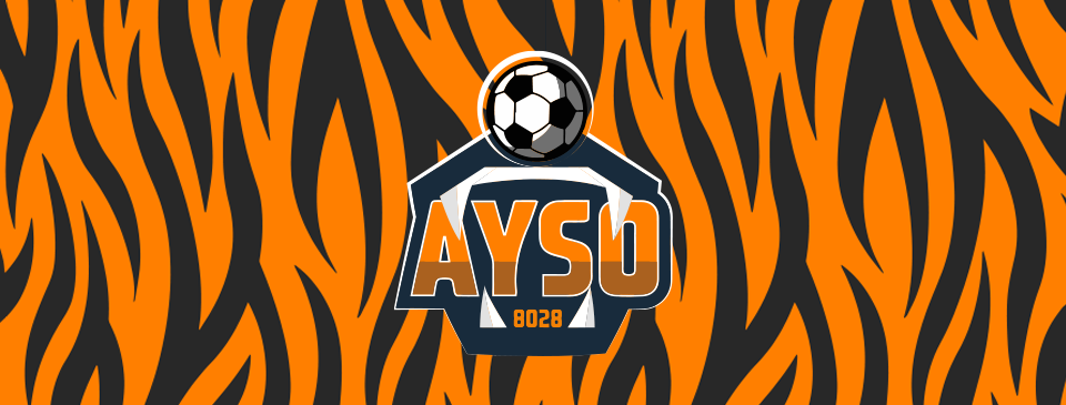 Region 8028: Bringing Soccer Back To Our Young Tigers
